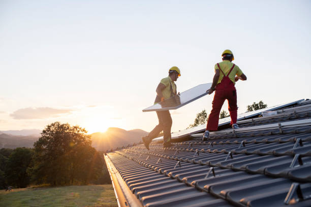 Best Roof Moss and Algae Removal  in Cozad, NE